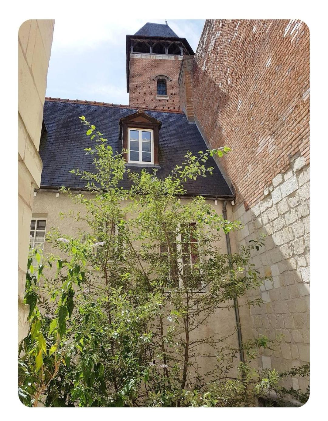 Havre De Paix Avec Exterieur Au Coeur Du Vieux Tours Lejlighed Eksteriør billede
